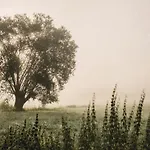 Cichy Zakatek