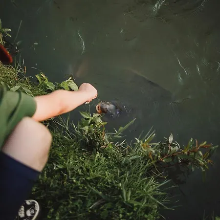 Cichy Zakatek Lägenhet *