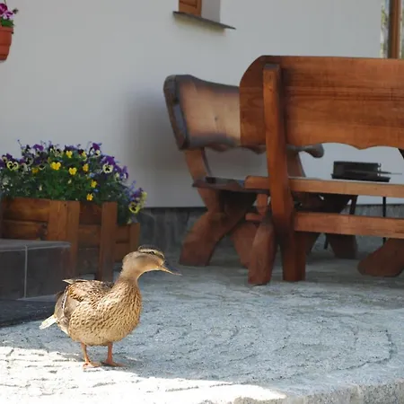 Cichy Zakatek Lägenhet *