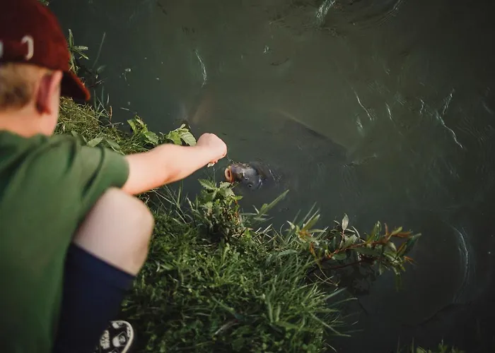 Cichy Zakatek Apartment *