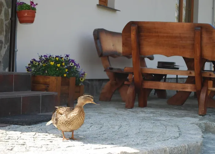 Cichy Zakatek Apartment *